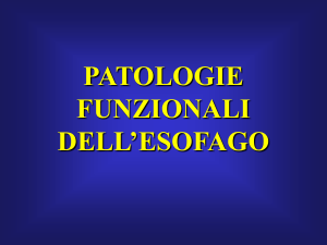 Presentazione di PowerPoint