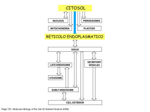 RER2011 dt - Docenti.unina
