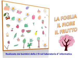Questa è una foglia aghiforme infatti la lamina si presenta a forma di