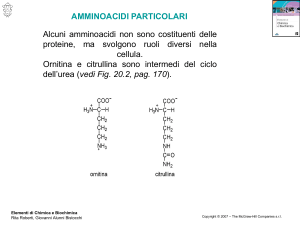 Diapositiva 1