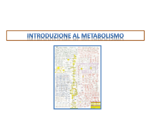 adenilato ciclasi attiva