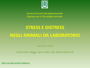 Stress