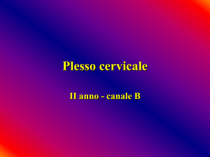 Nessun titolo diapositiva