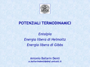 29-30_Potenziali ter..
