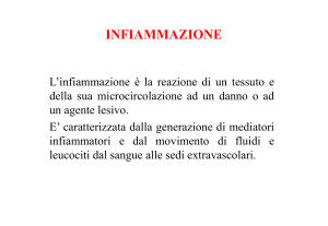 Infiammazione