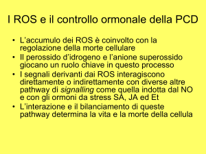 la modulazione della morte ipersensibile - e