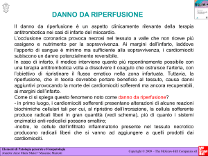 Diapositiva 1