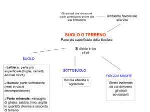 suolo o terreno