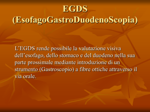EGDS (EsofagoGastroDuodenoScopia)