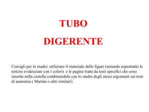 Presentazione di PowerPoint