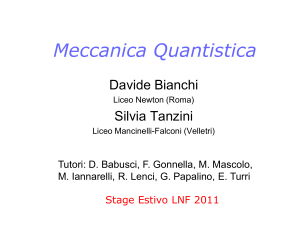 Relazione elaborata dagli studenti - INFN-LNF