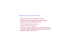 Mendel