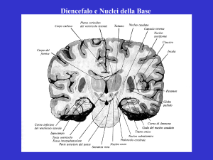 7:studenti