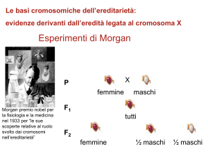 lezione 4 e 5