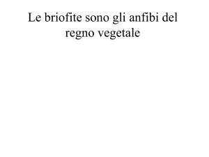 lezione 14 Archivo - e