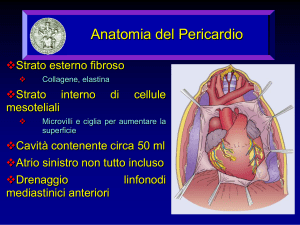 Anatomia del Pericardio