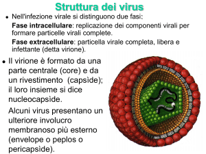 Struttura e replicazione dei virus: una presentazione