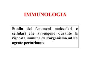 7/3/07 - univr dsnm