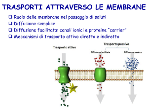 Lezione giovedì 27 ottobre 2016 File