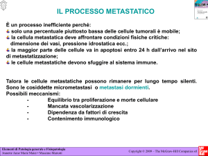 Diapositiva 1