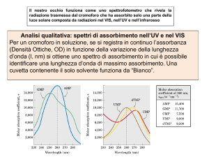Diapositiva 1 - Docenti.unina