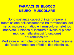 Diapositiva 1 - Docenti.unina