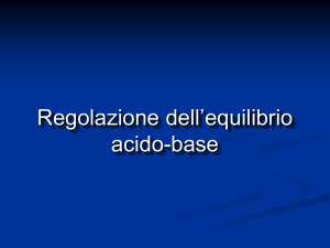 Sistema renale