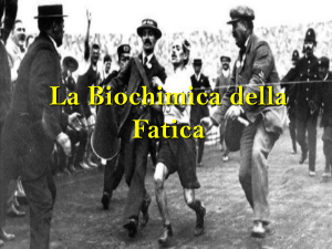 17.biochimica della fatica