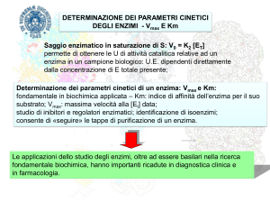Diapositiva 1