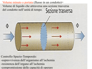 Flusso Ematico