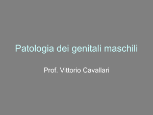 Patologia del testicolo