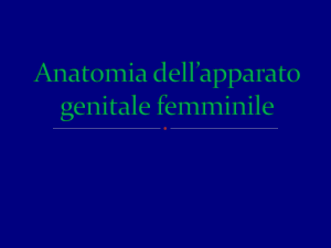 02 lezione(anatomia)