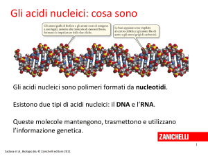 Presentazione di PowerPoint