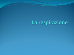 La respirazione_prima parte