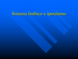 Sistema limbico e ipotalamo