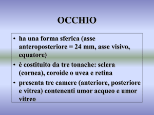 Nessun titolo diapositiva