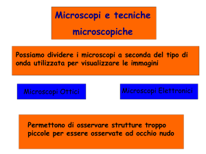 3A-Preparazione dei campioni