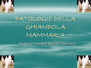ghiandola mammaria File - Progetto e