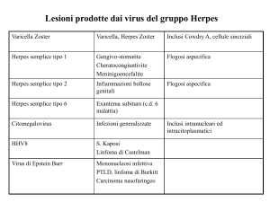 Il Sarcoma di Kaposi