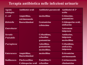 eziologia farmaci di scelta gonococco fluorochinoloni