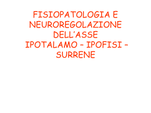 asse ACTH FERRARA