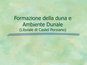 Formazione della duna