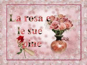 La Rosa e le sue spine
