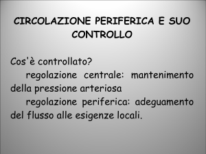 Diapositiva 1
