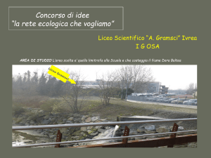 Presentazione - Provincia di Torino