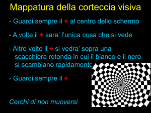 Mappatura della corteccia visiva