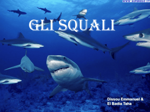 Gli Squali