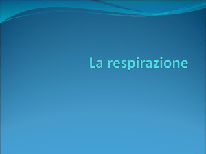 La respirazione