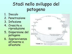 ciclo della malattia File - e