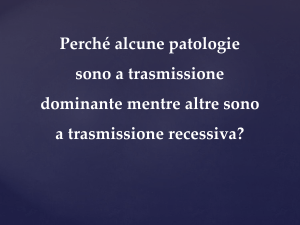 Sostituzione della 2a base del codone: AAA (Lys)